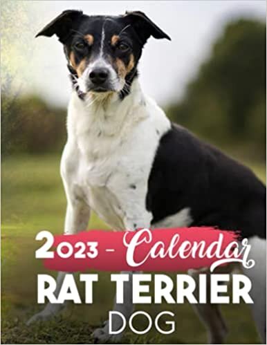 Rat terrier dog calendar 2023: Puppy rat terrier dog planner 2023-2024 - Tan rat terrier puppies calendar 2023 - chihuahua rat terrier yearly , monthly , weekly , daily planner
