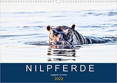 Nilpferde, Kolosse in Afrika (Wandkalender 2022 DIN A3 quer): Atemberaubende Aufnahmen afrikanischer Flusspferde (Monatskalender, 14 Seiten )
