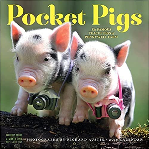 Pocket Pigs 2018 Calendar: The Famous Teacup Pigs of Pennywell Farm