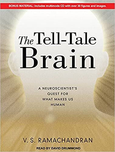 indir The Tell-Tale Brain: A Neuroscientist&#39;s Quest for What Makes Us Human