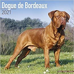 Dogue de Bordeaux - Bordeauxdoggen 2021 - 16-Monatskalender: Original Avonside-Kalender [Mehrsprachig] [Kalender] (Wall-Kalender) indir