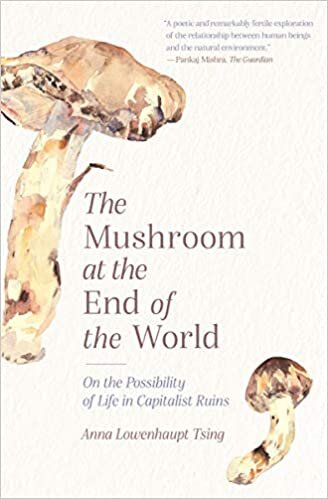 ダウンロード  The Mushroom at the End of the World: On the Possibility of Life in Capitalist Ruins 本
