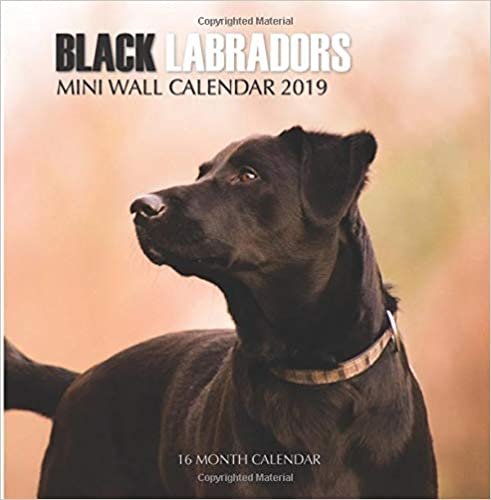 Black Labradors Mini Wall Calendar 2019: 16 Month Calendar indir