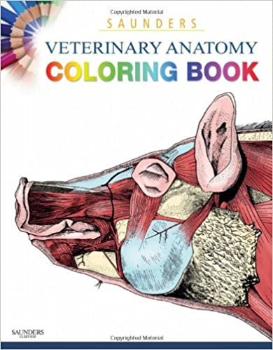 Saunders Veterinary Anatomy Coloring Book, 1e ダウンロード