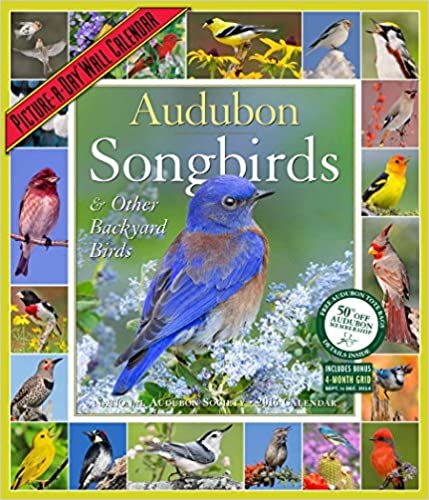 Audubon Songbirds & Other Backyard Birds Picture-a-Day 2016 Calendar ダウンロード