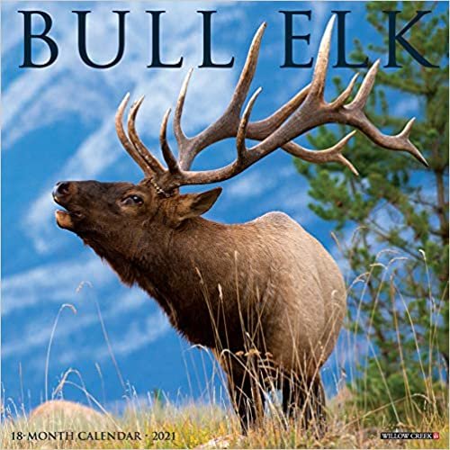 Bull Elk 2021 Calendar