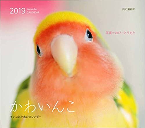 ダウンロード  カレンダー2019 かわいんこ インコと小鳥のカレンダー (ヤマケイカレンダー2019) 本