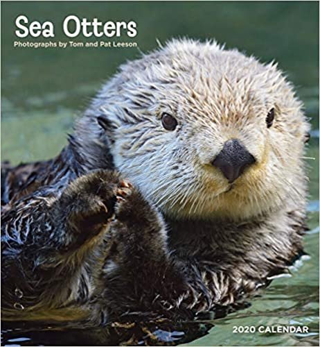 ダウンロード  Sea Otters 2020 Calendar 本