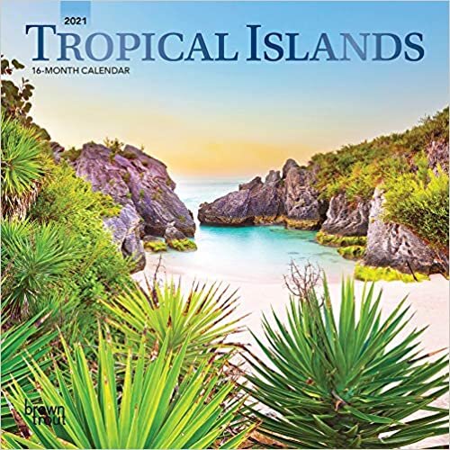 ダウンロード  Tropical Islands 2021 Calendar: Foil Stamped Cover 本