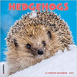 Hedgehogs 2021 Calendar indir