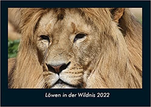 ダウンロード  Loewen in der Wildnis 2022 Fotokalender DIN A4: Monatskalender mit Bild-Motiven von Haustieren, Bauernhof, wilden Tieren und Raubtieren 本