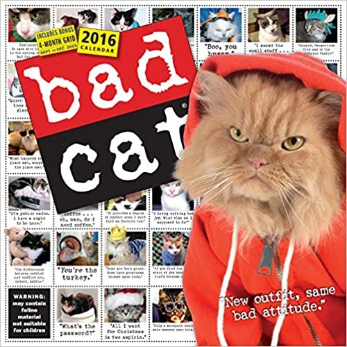 ダウンロード  Bad Cat 2016 Calendar 本