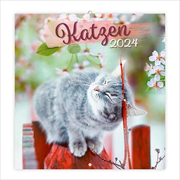 ダウンロード  Troetsch Broschuerenkalender Katzen 2024: Wandplaner 本