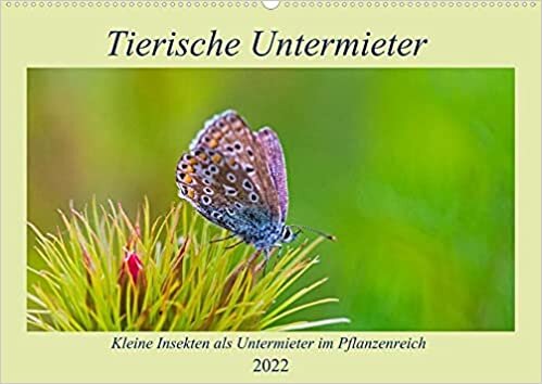 Tierische Untermieter (Wandkalender 2022 DIN A2 quer): Insekten als Untermieter im Pflanzenreich (Monatskalender, 14 Seiten )