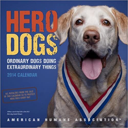 ダウンロード  Hero Dogs 2014 Calendar: Ordinary Dogs Doing Extraordinary Things 本