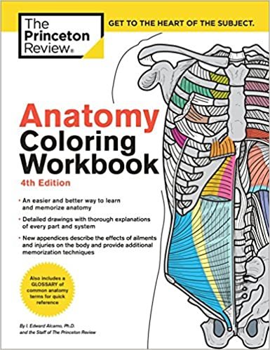 ダウンロード  Anatomy Coloring Workbook, 4th Edition: An Easier and Better Way to Learn Anatomy (Coloring Workbooks) 本