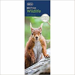 indir British Wildlife, RSPCA S 2019