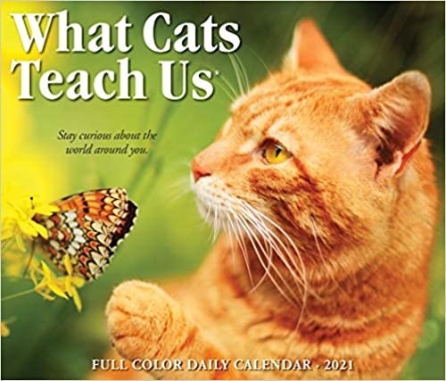 ダウンロード  What Cats Teach Us 2021 Calendar 本