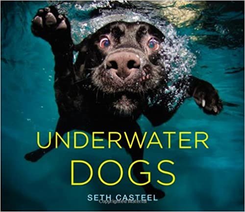 ダウンロード  Underwater Dogs 本