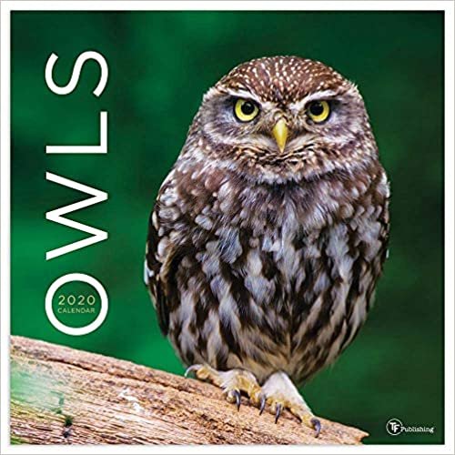 ダウンロード  Owls 2020 Calendar 本