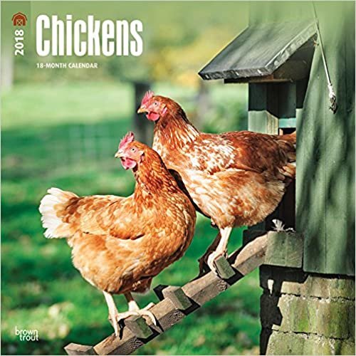 Chickens 2018 Calendar