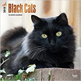 Black Cats 2018 Calendar