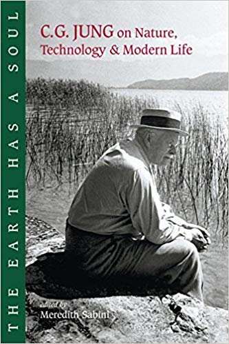 اقرأ يوضع على الأرض Soul: c.g. Jung على الطبيعة ، تقنية وحديث Life الكتاب الاليكتروني 