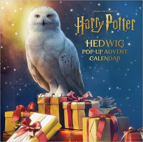 اقرأ Harry Potter: Hedwig Pop-up Advent Calendar الكتاب الاليكتروني 