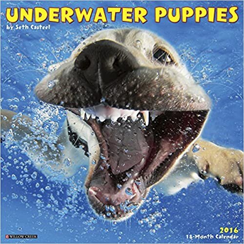 ダウンロード  Underwater Puppies 2016 Calendar 本