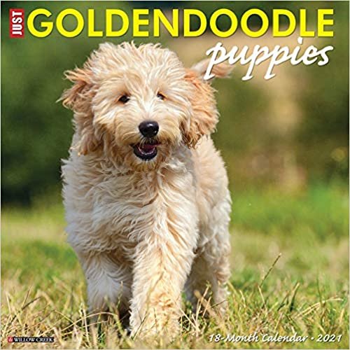 indir Just Goldendoodle Puppies 2021 Calendar