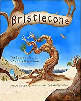 تحميل Bristlecone: The Secret Life of the World&#39;s Oldest Tree: The Secret Life of the World&#39;s Oldest Tree