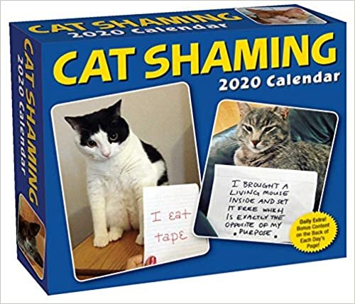 Cat Shaming 2020 Day-to-Day Calendar