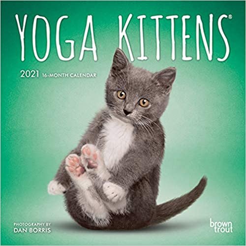 ダウンロード  Yoga Kittens 2021 Calendar 本