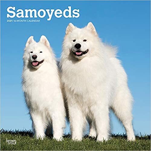 ダウンロード  Samoyeds 2021 Calendar 本