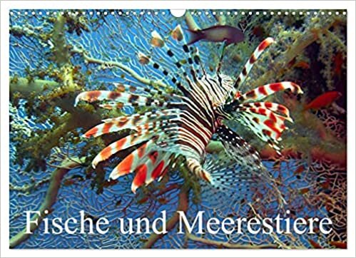 ダウンロード  Fische und Meerestiere (Wandkalender 2023 DIN A3 quer): Die farbenfrohe Unterwasserwelt unserer Ozeane (Monatskalender, 14 Seiten ) 本