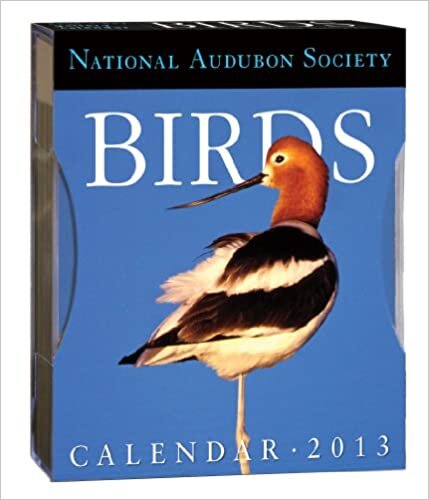 ダウンロード  Birds Gallery 2013 Calendar (Page a Day Gallery Calendar) 本