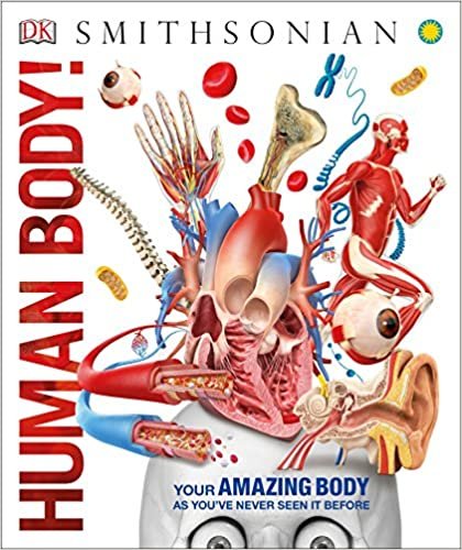ダウンロード  Human Body! (Knowledge Encyclopedias) 本
