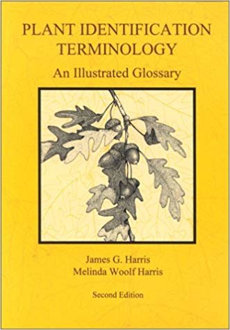 اقرأ نبات التحديد terminology: منتج ً ا illustrated glossary الكتاب الاليكتروني 
