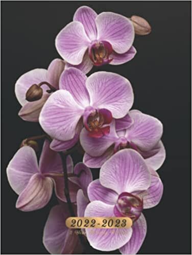 Phogogo Ocean Orchid Hardcover 2022-2023 2 Year Monthly Planner: Two Year Planner Calendar Schedule Organizer, Agenda Schedule Logbook is perfect for Working, Work from Home, Homeschool, Business. تكوين تحميل مجانا Phogogo Ocean تكوين