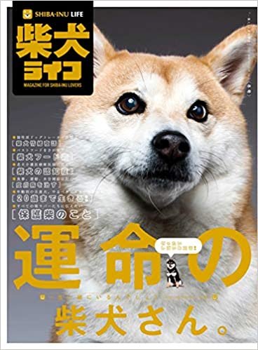 ダウンロード  『柴犬ライフ』〜一生一緒にいるんでしょ?〜 (2020年冬号( 「一個人」2月号増刊)) 本