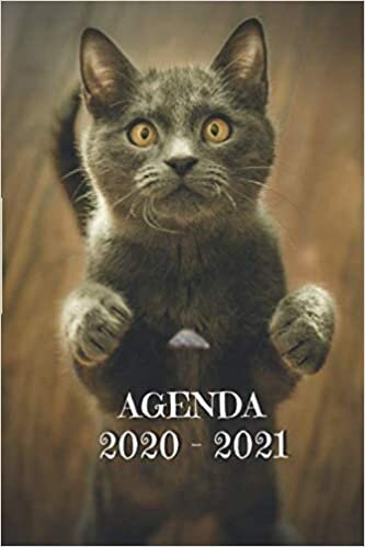Agenda 2020 - 2021: Agenda scolaire 2020 - 2021 chat - standard Primaire - Collège - Lycée - Etudiant - d’août à août - avec calendrier des vacances scolaires par zones et jours fériés indir