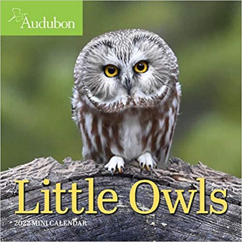 Audubon Little Owls Mini Wall Calendar 2022 ダウンロード