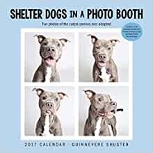 Shelter Dogs in a Photo Booth 2017 Wall Calendar (Square Wall)