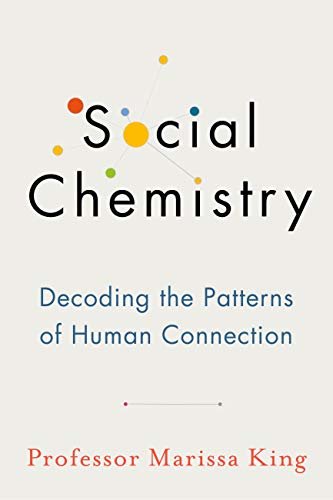 ダウンロード  Social Chemistry: Decoding the Patterns of Human Connection (English Edition) 本