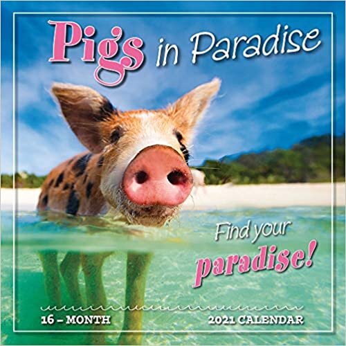 ダウンロード  Pigs in Paradise 2021 Calendar 本