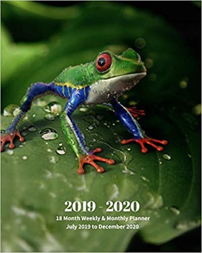 2019 - 2020 | 18 Month Weekly & Monthly Planner July 2019 to December 2020: Red-Eyed Tree Frog Mexico Tropical Frog Monthly Calendar with U.S./UK/ ... Holidays– Calendar in Review/Notes 8 x 10 in. indir