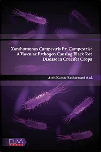 تحميل Xanthomonas Campestris Pv. Campestris: A Vascular Pathogen Causing Black Rot Disease in Crucifer Crops