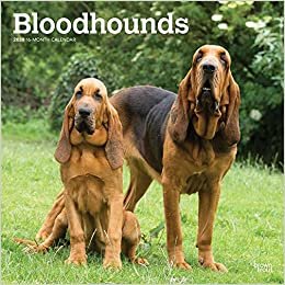 Bloodhounds 2020 Calendar