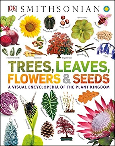 ダウンロード  Trees, Leaves, Flowers and Seeds: A Visual Encyclopedia of the Plant Kingdom (Smithsonian) 本