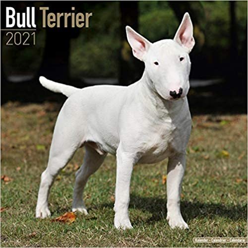 ダウンロード  Bull Terrier 2021 Wall Calendar (Square) 本